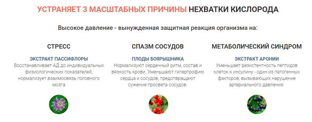Официальный сайт производителя Neokard в Чебоксарах